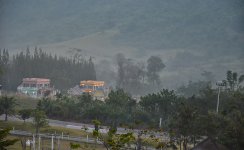 foggy-1.jpg