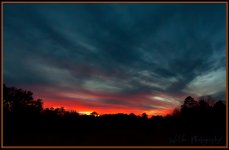 Sunset Orange.jpg