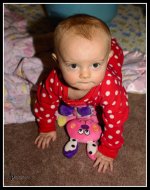Day 20 audrey crawling.jpg