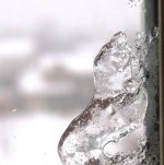 DSCN9355.jpg