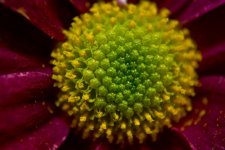 DSC_1265.jpg