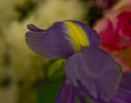 DSC_1271.jpg