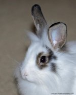 DSC_9842.jpg
