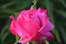DSC_0317.jpg