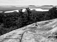 IMG_0321_7062-3.jpg
