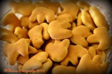 Animal Crackers.jpg