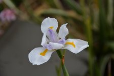 DSC_0327.jpg