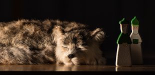 DSC_00086.jpg