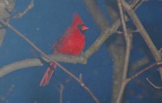 DSC_8290.jpg
