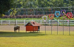 little-house-2.jpg