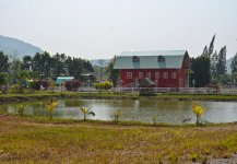 little-house=1-1.jpg