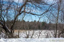 DSC_7024.jpg