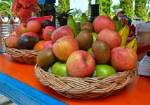 fruitbasket-1.jpg