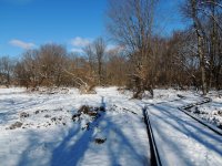 DSCN9408.jpg