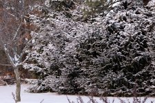 DSC_8322.jpg