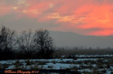 Sunset at the Wildlife Refuge.jpg