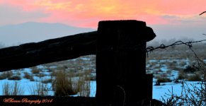 Sunset at the Wildlife Preserve 2.jpg