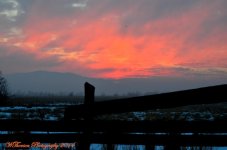 Sunset at the Wildlife Preserve 3.jpg