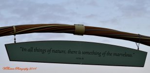 Sunset at the Wildlife Preserve 4.jpg