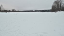NIK_1221.jpg