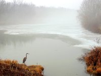 DSCN8987a.jpg
