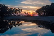 Nikonites-23-1.jpg