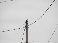 DSCN1025.jpg