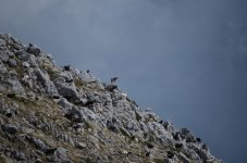 DSC_7472.JPG
