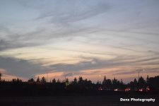 DSC_0121-002.jpg
