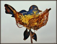 bird 021.JPG