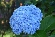 DSC_0407.jpg