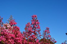 DSC_0416.jpg