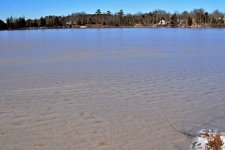 DSC_8582.jpg