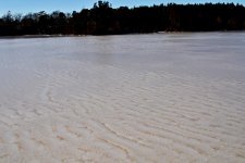 DSC_8588.jpg