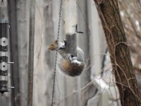 DSCN9140.jpg