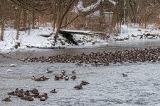 _D806587-Edit.jpg