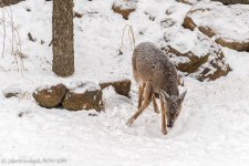 _D806623-Edit.jpg