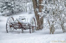 DSC_9518-Edit.jpg