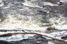 DSC_7078-Edit.jpg