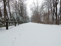 DSCN8917.jpg