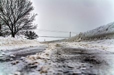 20140126-_1RB2060_1_2.jpg
