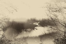 DSC_3863.jpg