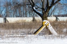 20140126-_D622483.jpg
