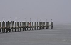 DSC_8686.jpg