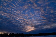 DSC_8749.jpg