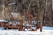 DSC_7099-Edit.jpg