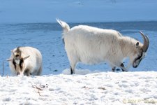 DSC_7105.jpg