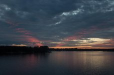Nikonites-26-7.jpg