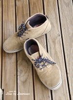 Andy's Shoes LOL.jpg