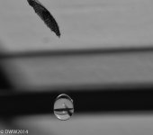 Drop3.jpg